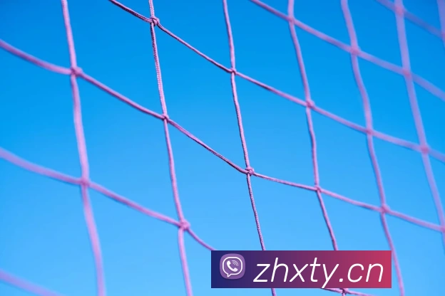 爱游戏平台 网页版APP 封面图